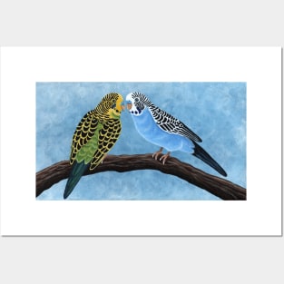 Budgies Posters and Art